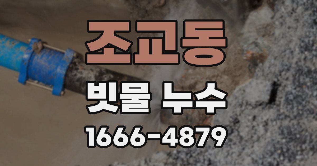 조교동 빗물 누수