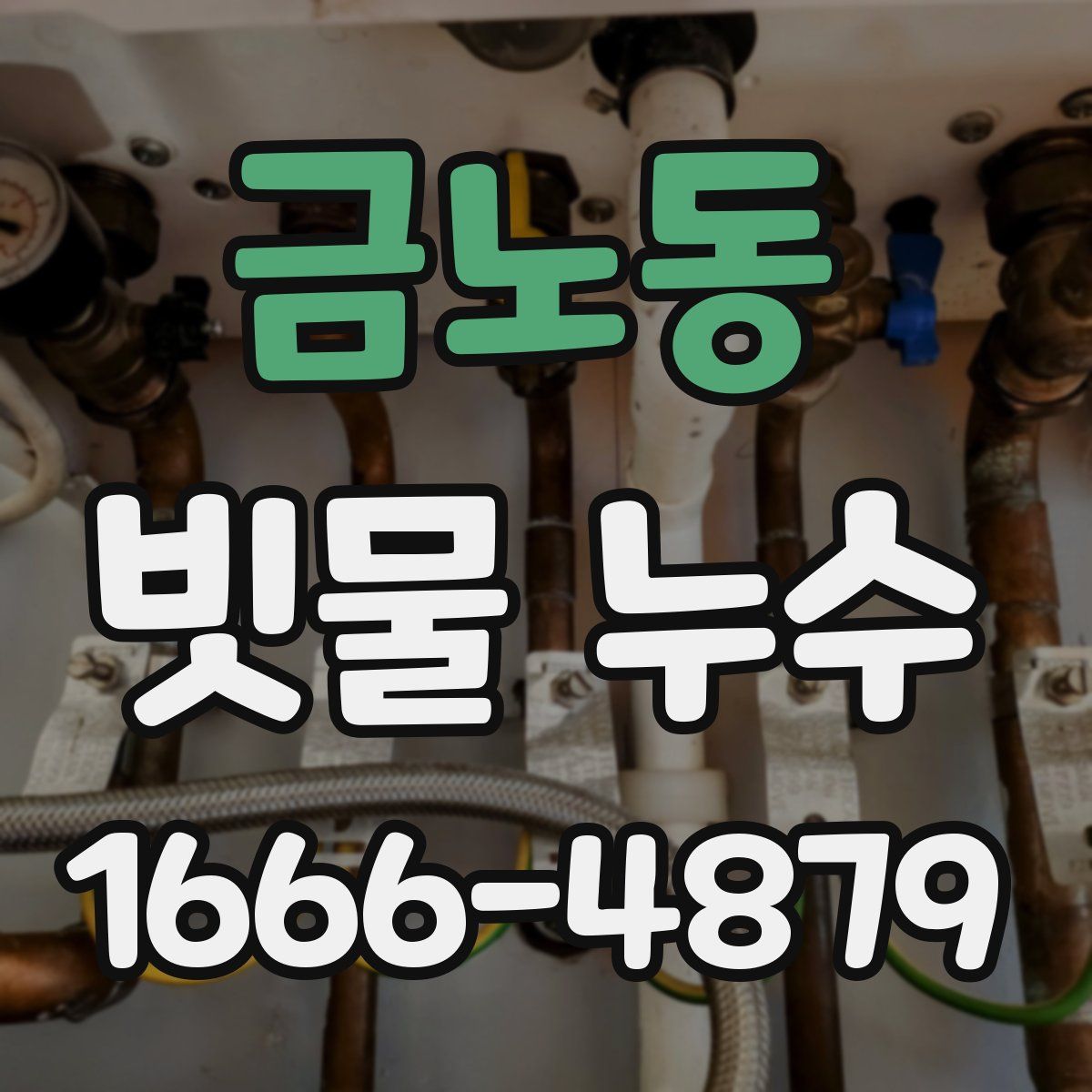 금노동 빗물 누수