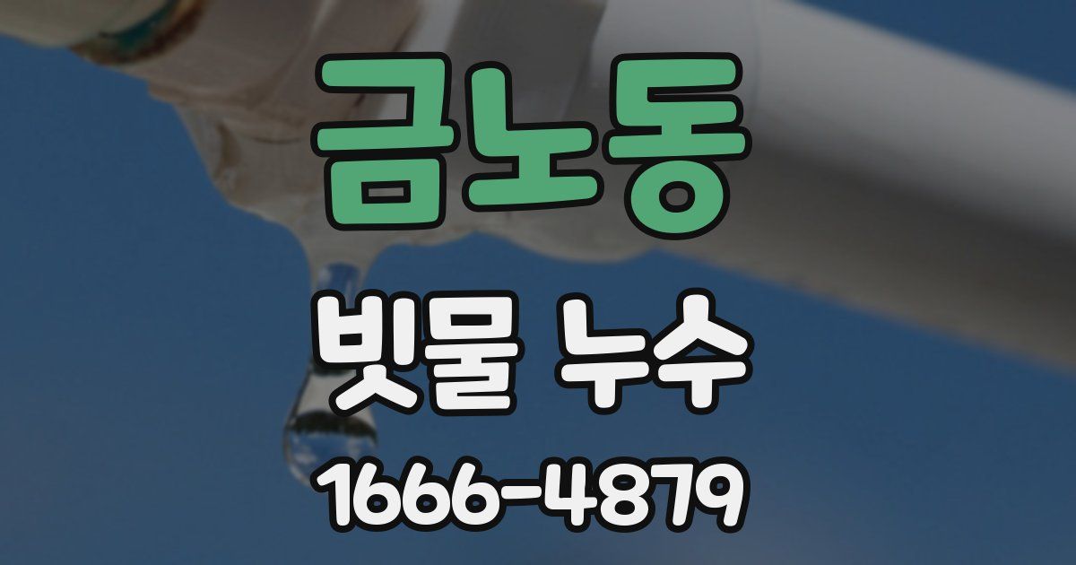 금노동 빗물 누수