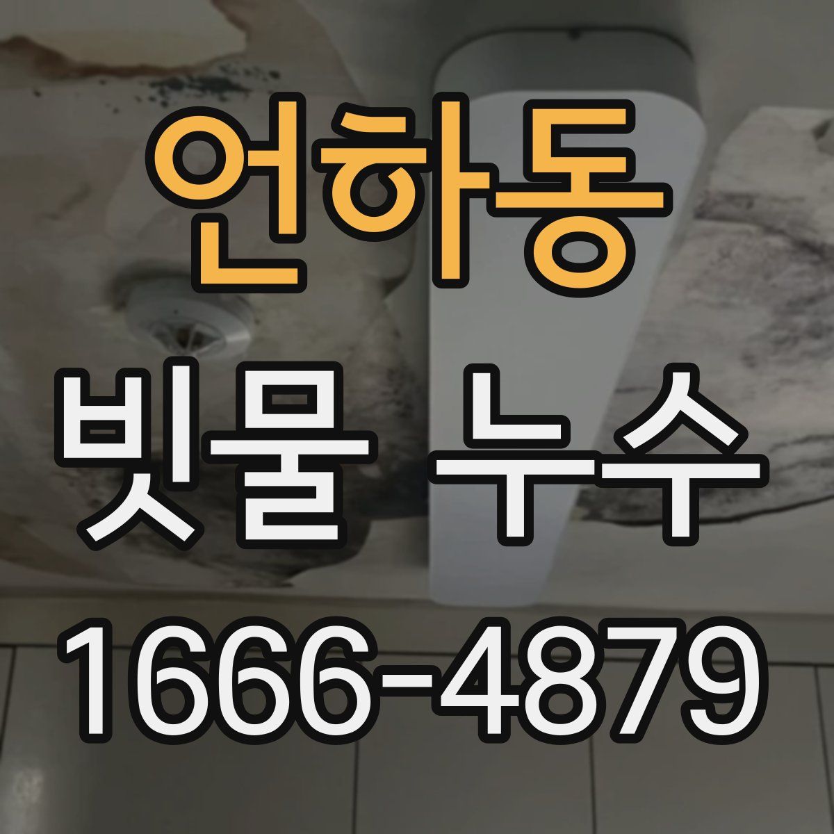 언하동 빗물 누수