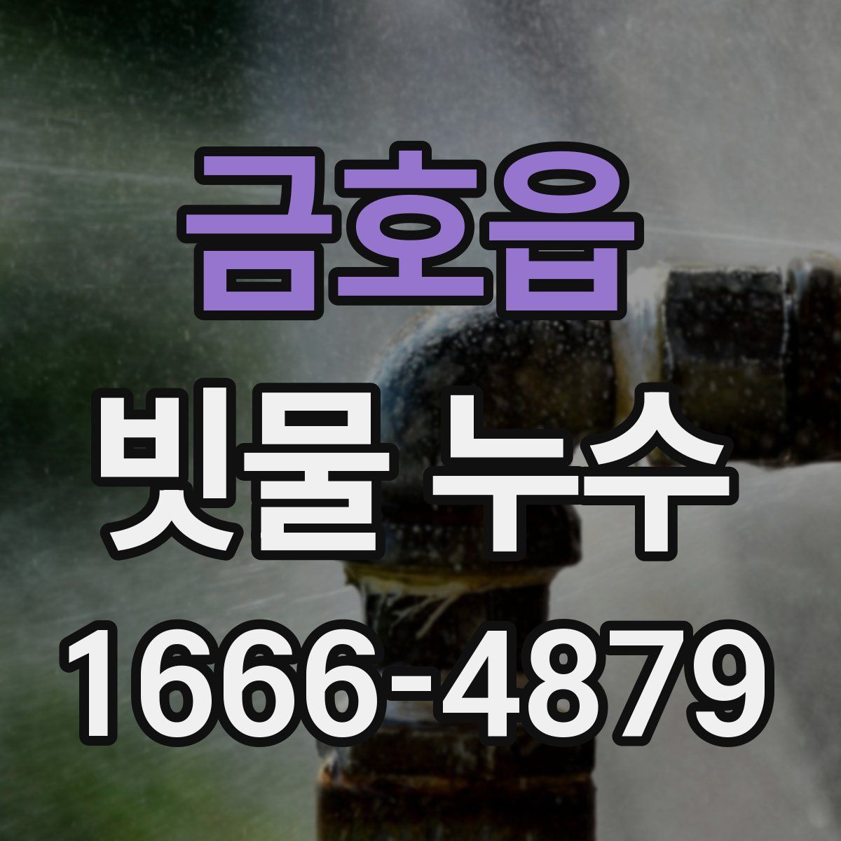 금호읍 빗물 누수