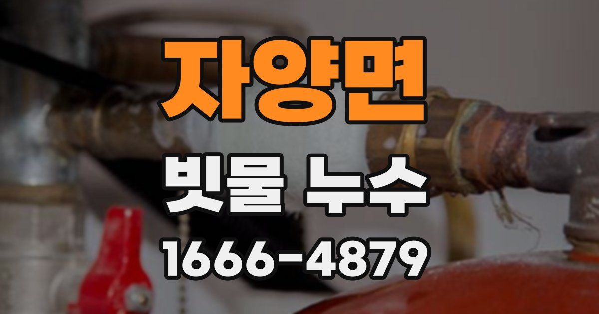 자양면 빗물 누수