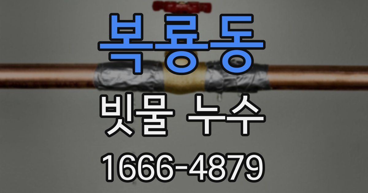 복룡동 빗물 누수
