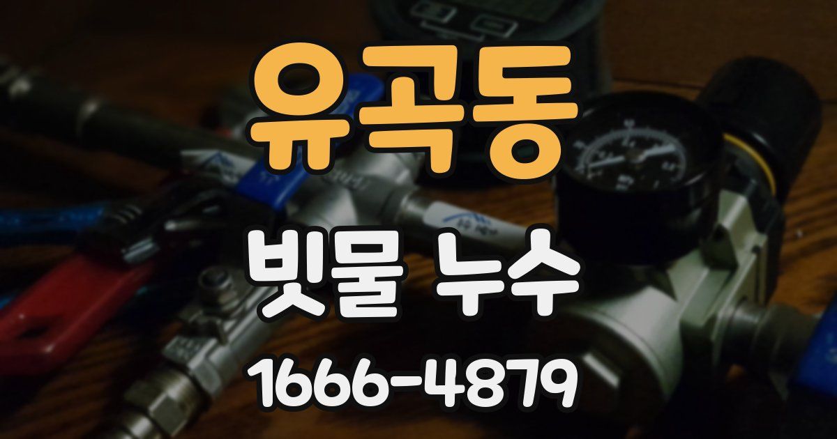유곡동 빗물 누수
