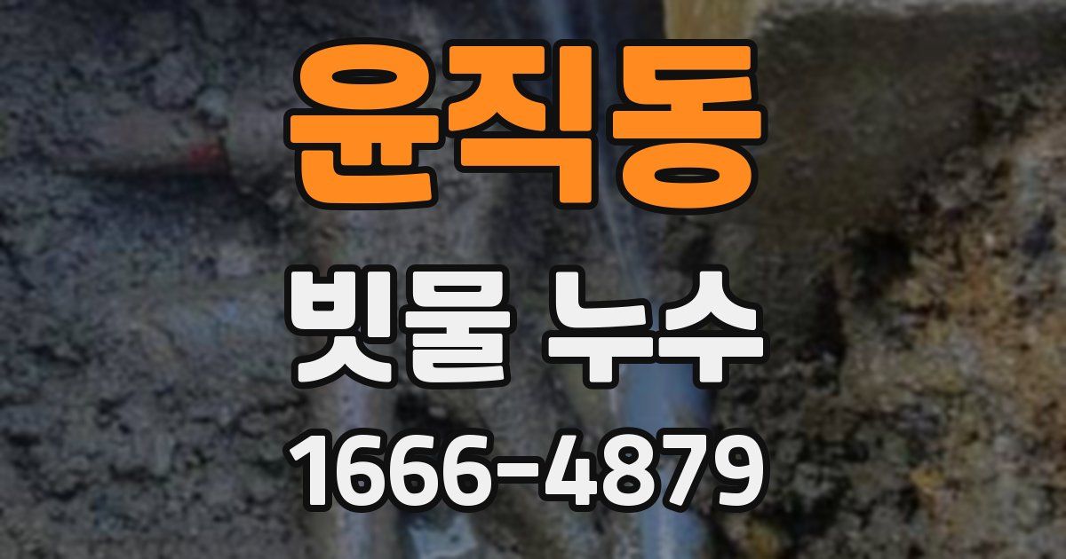 윤직동 빗물 누수