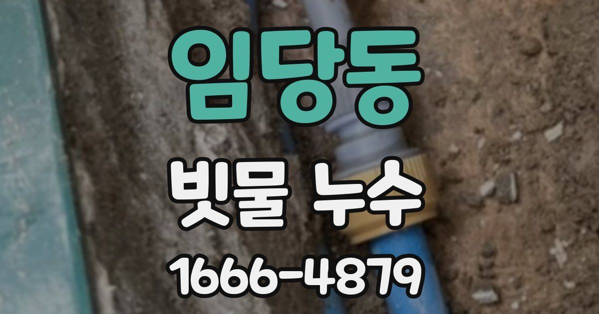 임당동 빗물 누수