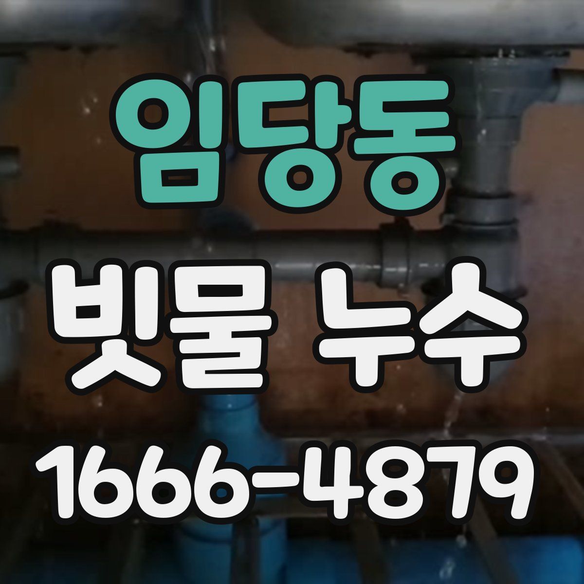 임당동 빗물 누수