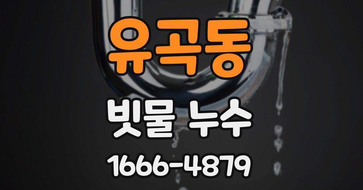 유곡동 빗물 누수