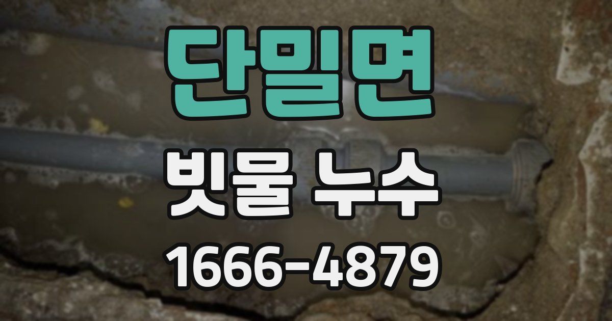 단밀면 빗물 누수