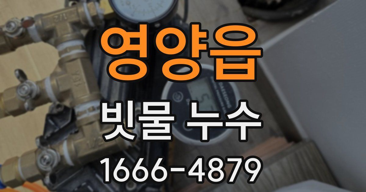 영양읍 빗물 누수