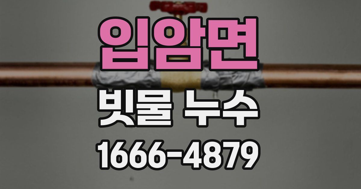 입암면 빗물 누수