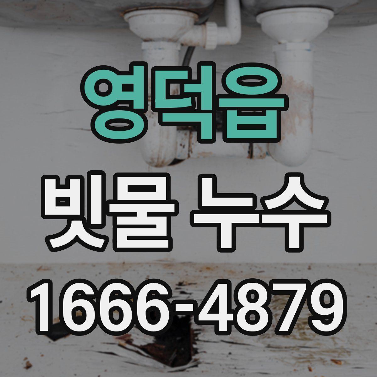 영덕읍 빗물 누수