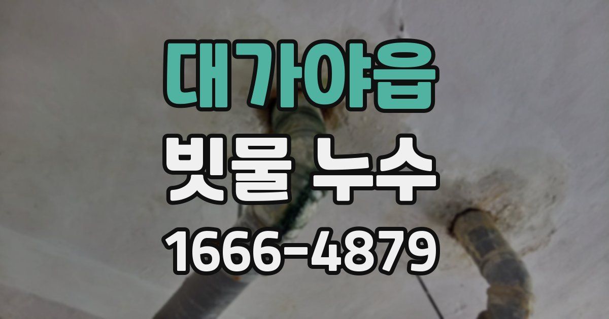 대가야읍 빗물 누수