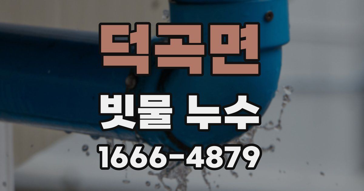 덕곡면 빗물 누수