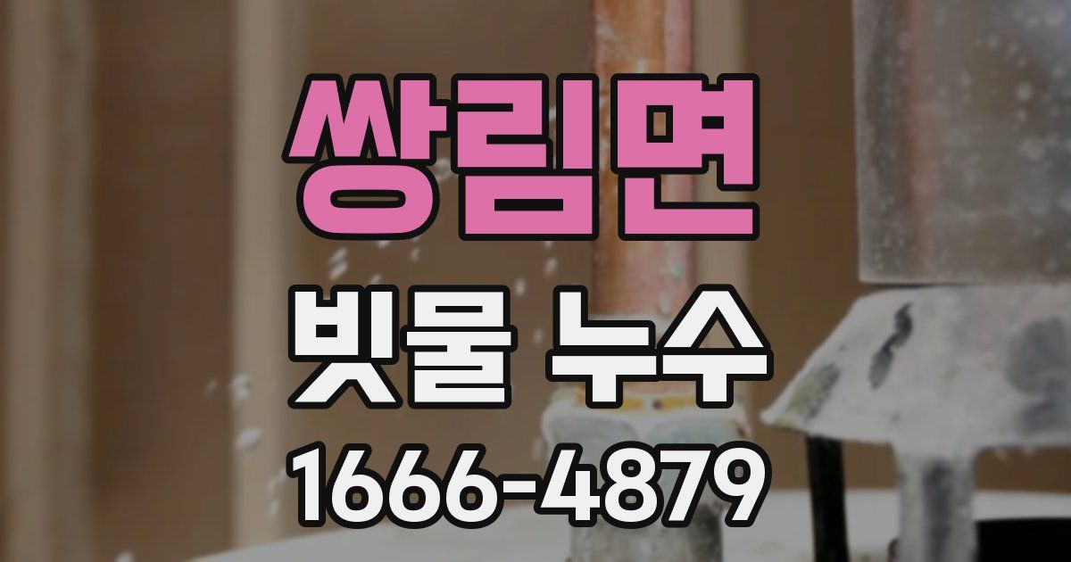 쌍림면 빗물 누수