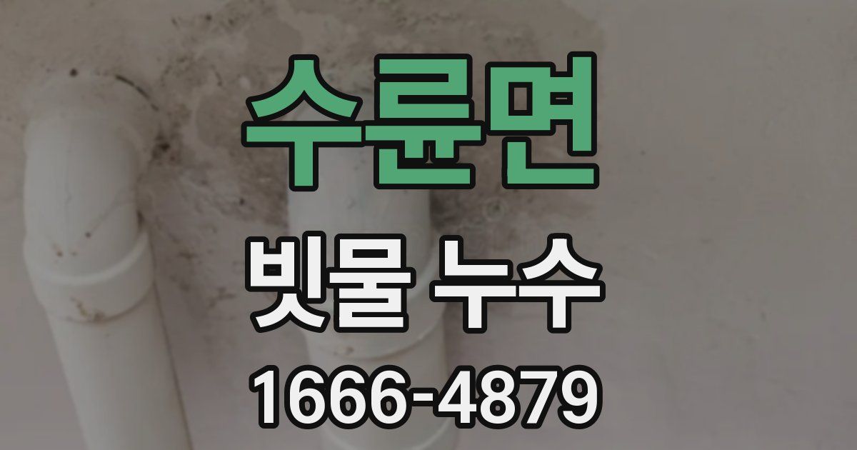 수륜면 빗물 누수