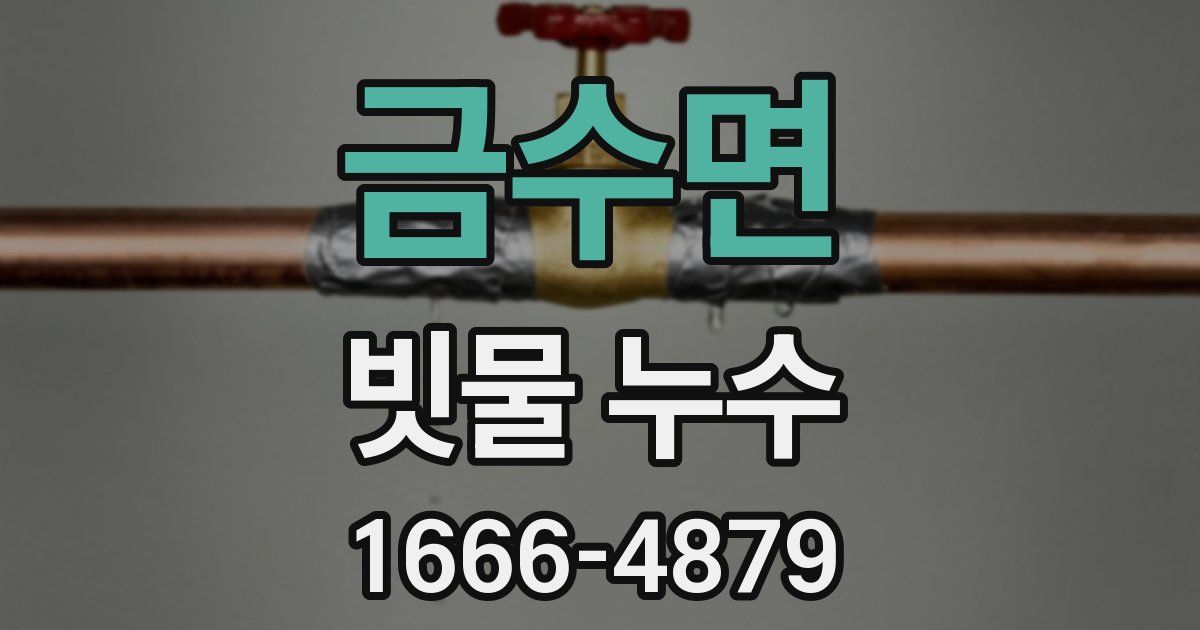 금수면 빗물 누수