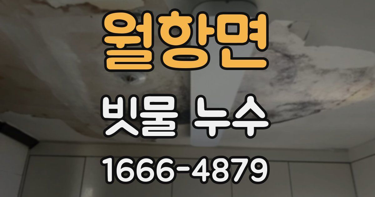 월항면 빗물 누수