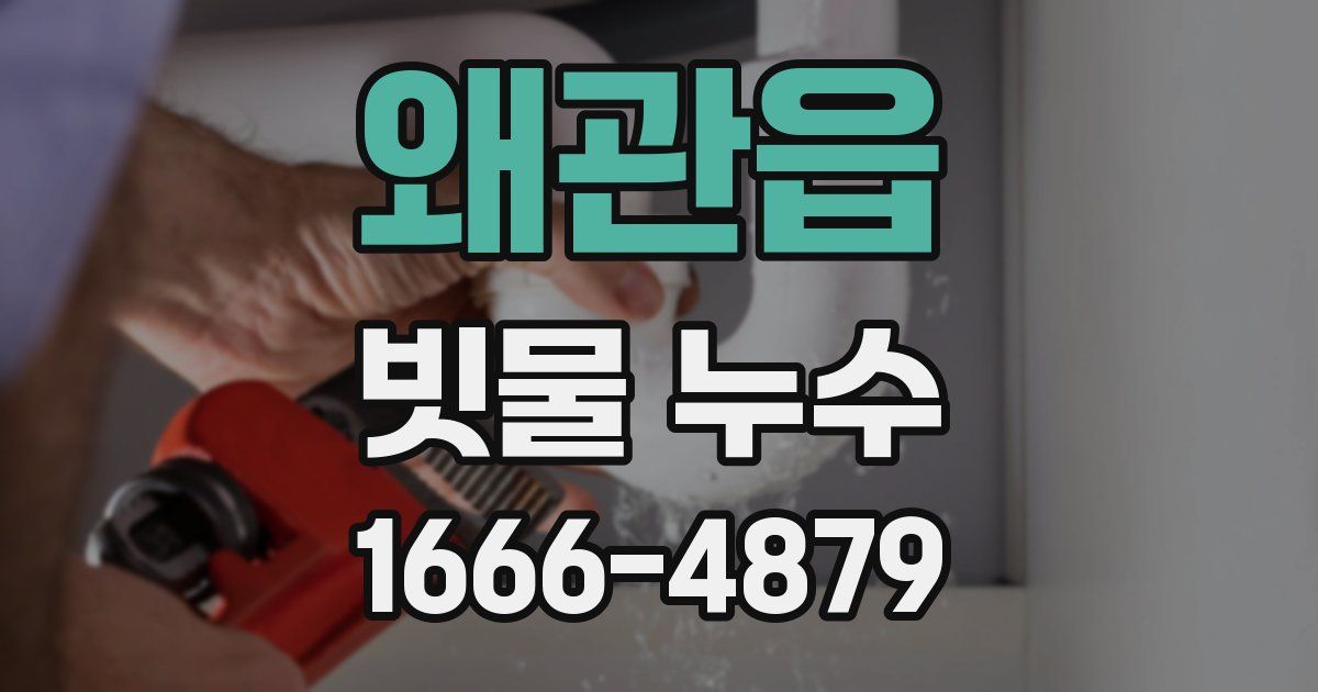 왜관읍 빗물 누수