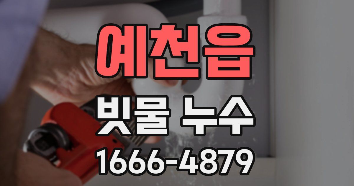 예천읍 빗물 누수