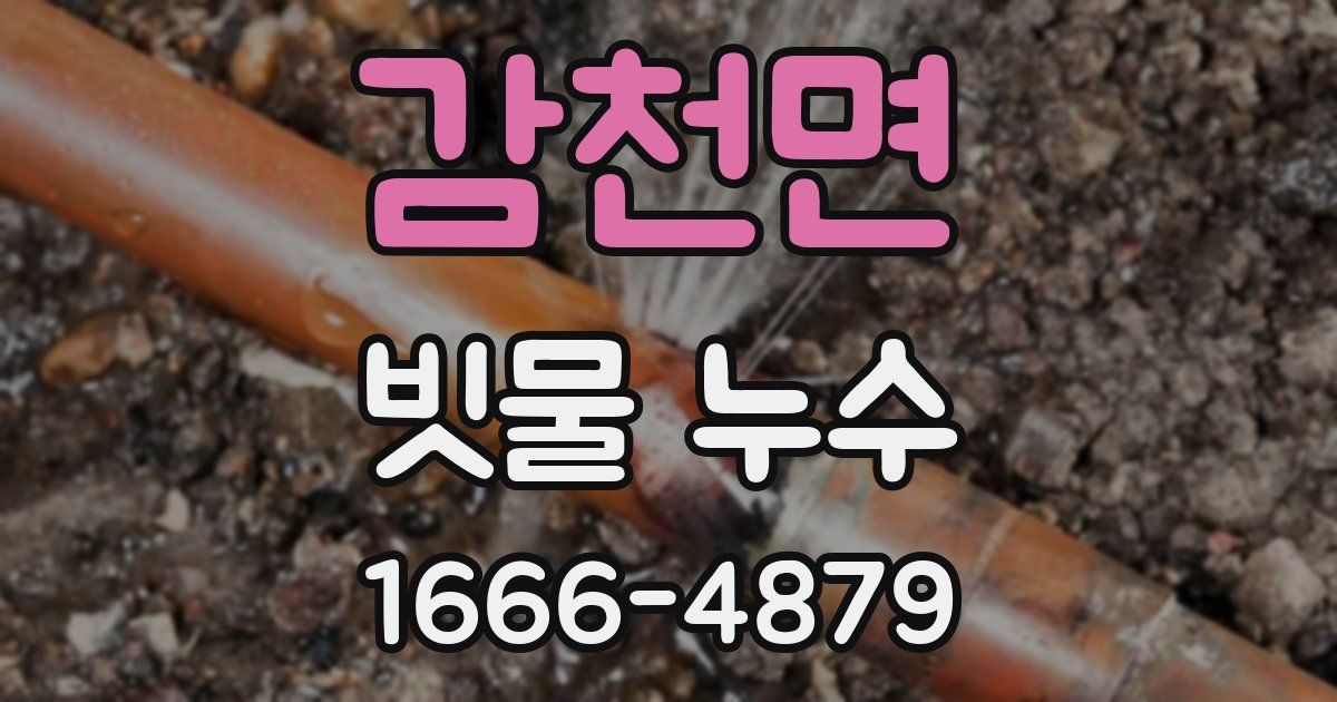 감천면 빗물 누수