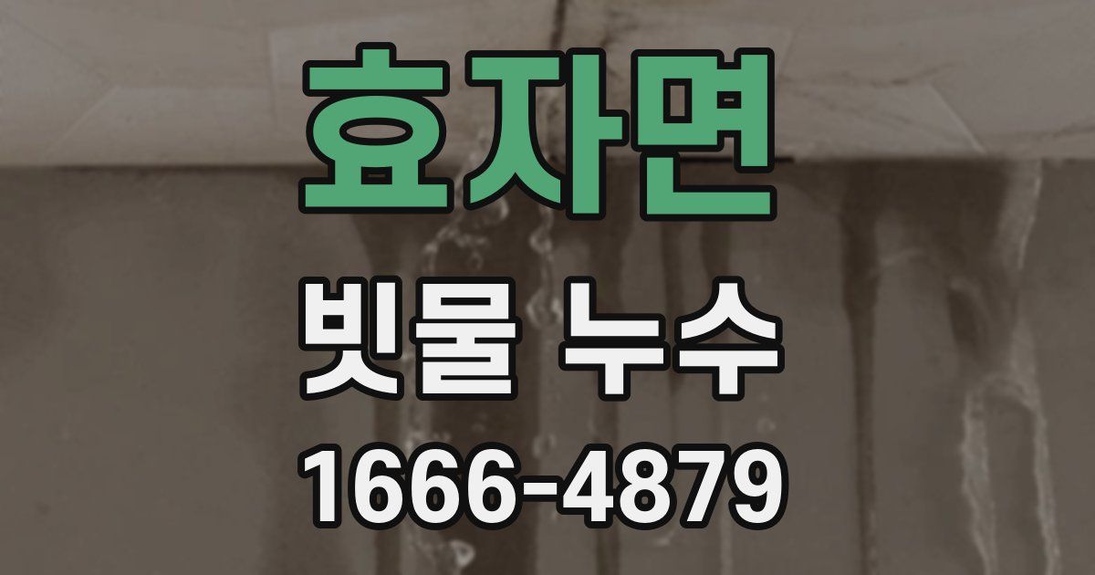 효자면 빗물 누수