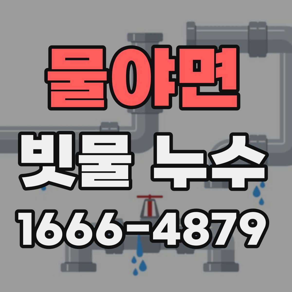 물야면 빗물 누수