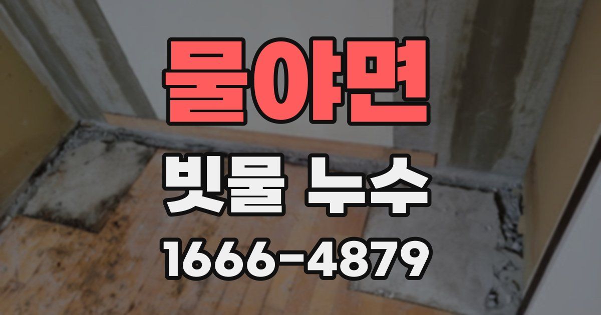 물야면 빗물 누수