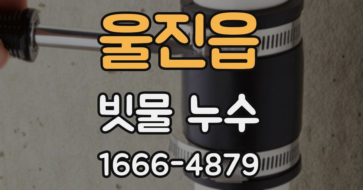울진읍 빗물 누수