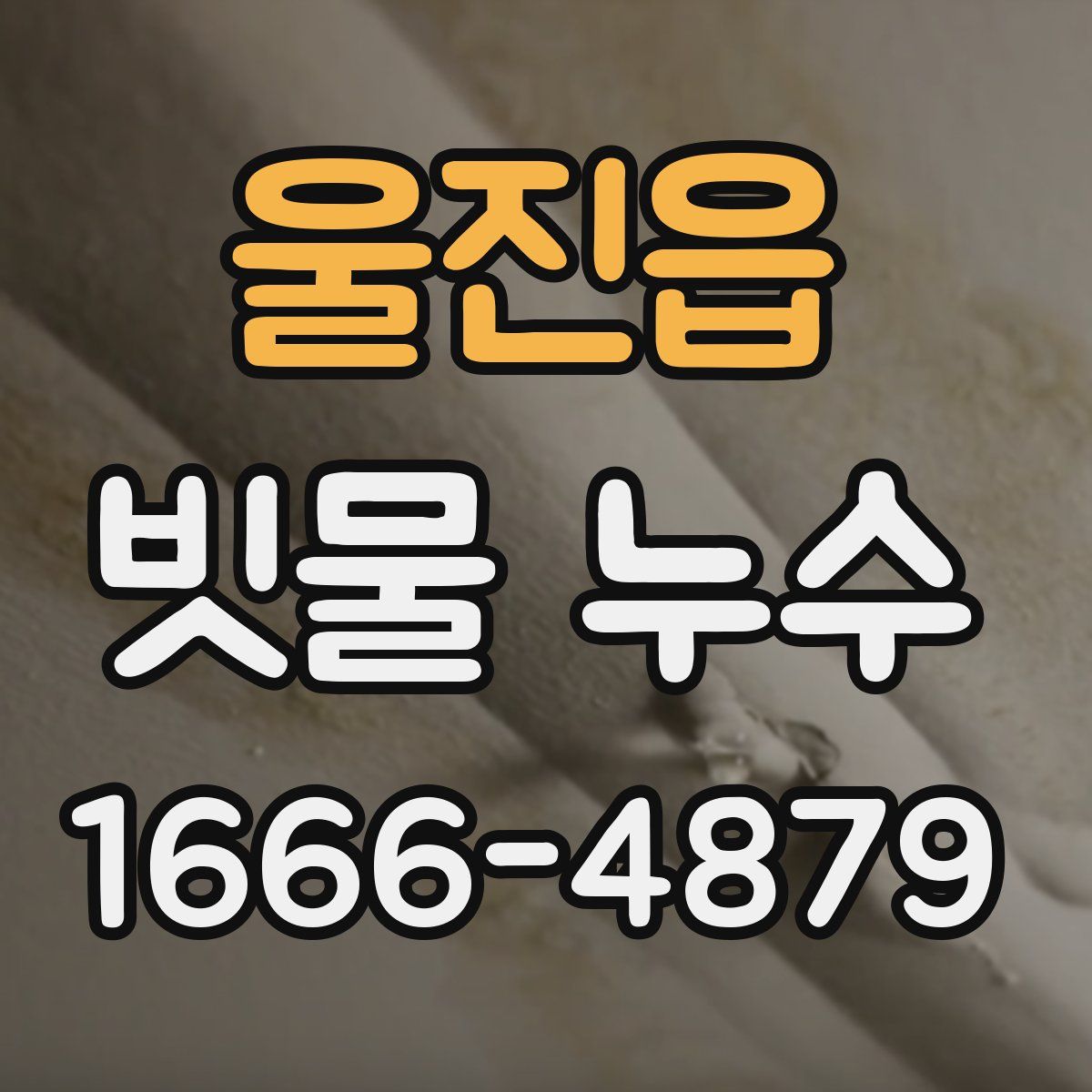 울진읍 빗물 누수