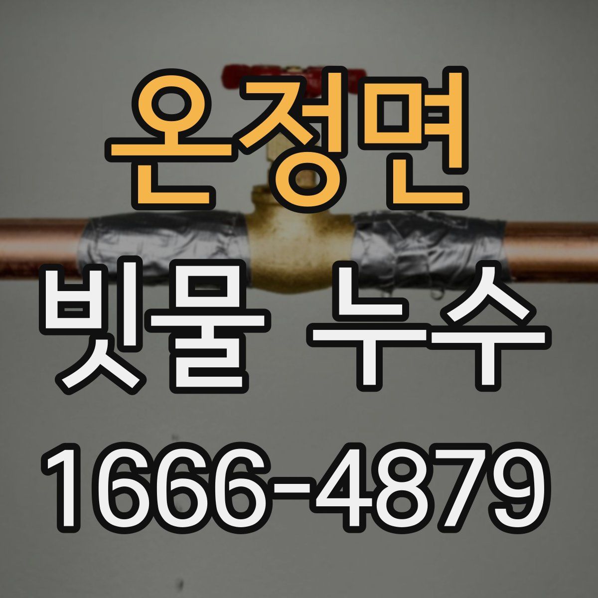 온정면 빗물 누수