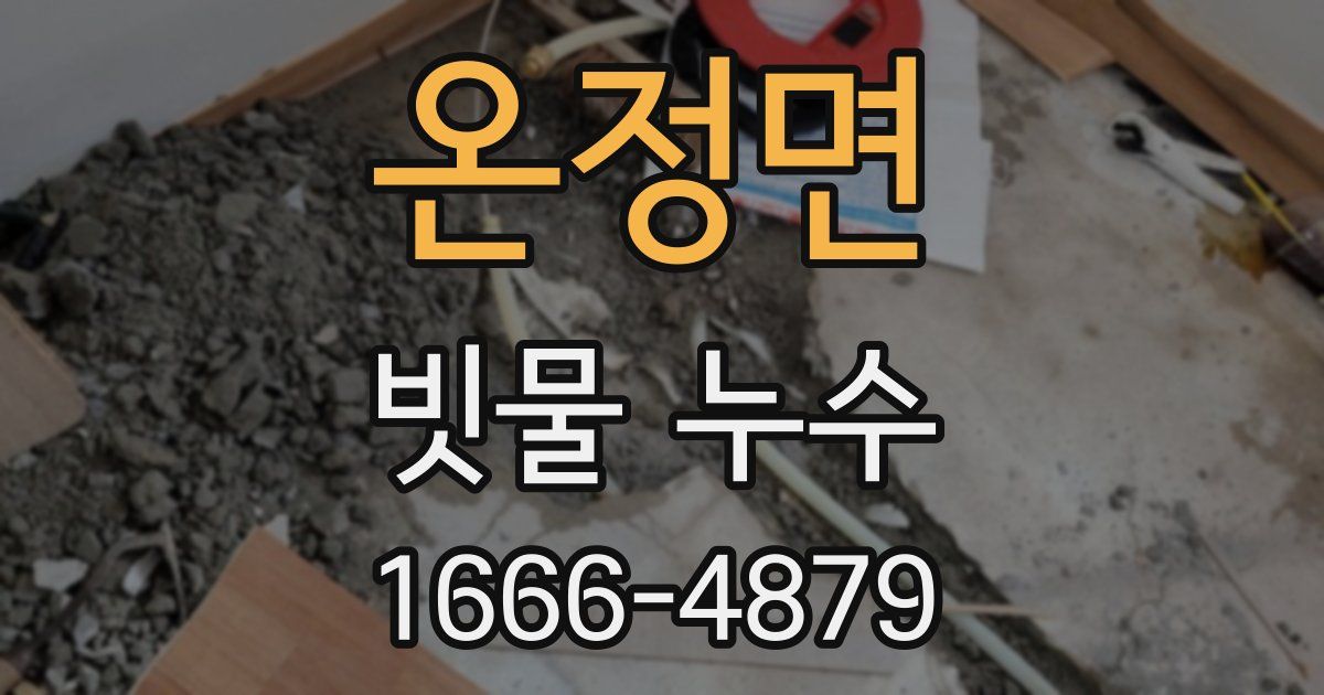 온정면 빗물 누수