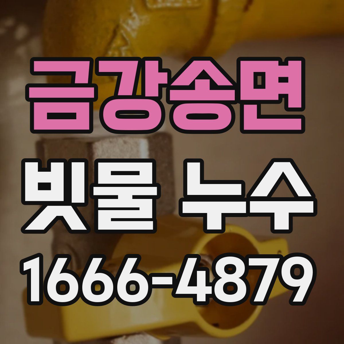 금강송면 빗물 누수