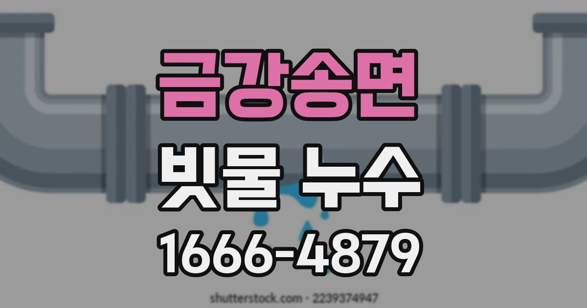 금강송면 빗물 누수