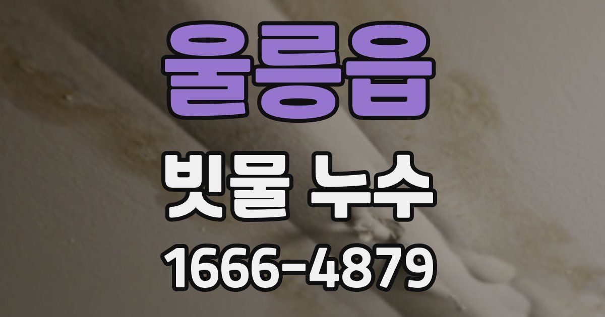 울릉읍 빗물 누수