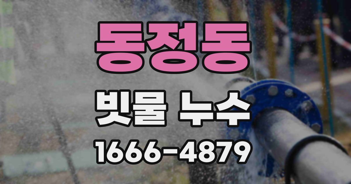 동정동 빗물 누수