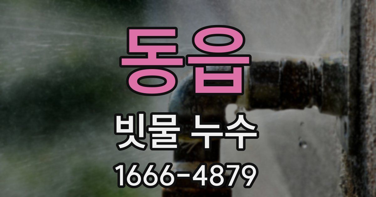 동읍 빗물 누수