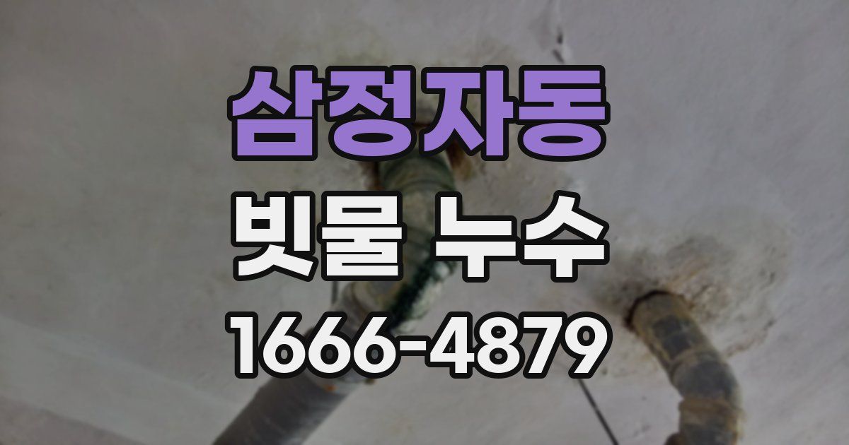삼정자동 빗물 누수