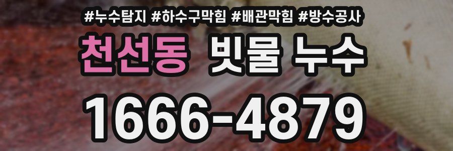 천선동 빗물 누수