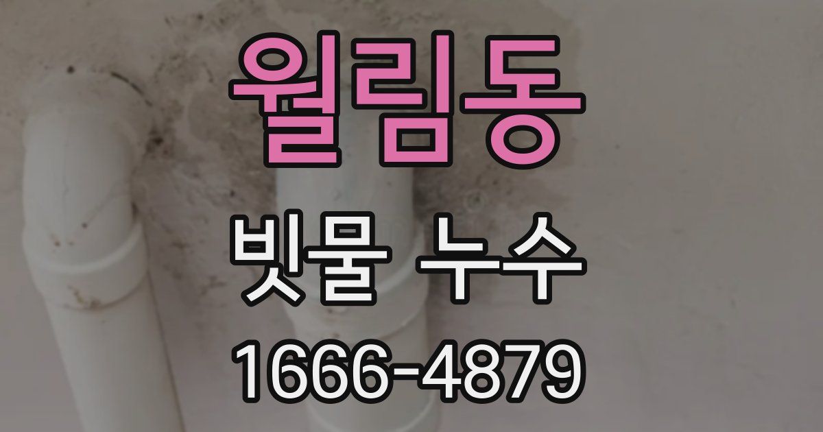 월림동 빗물 누수