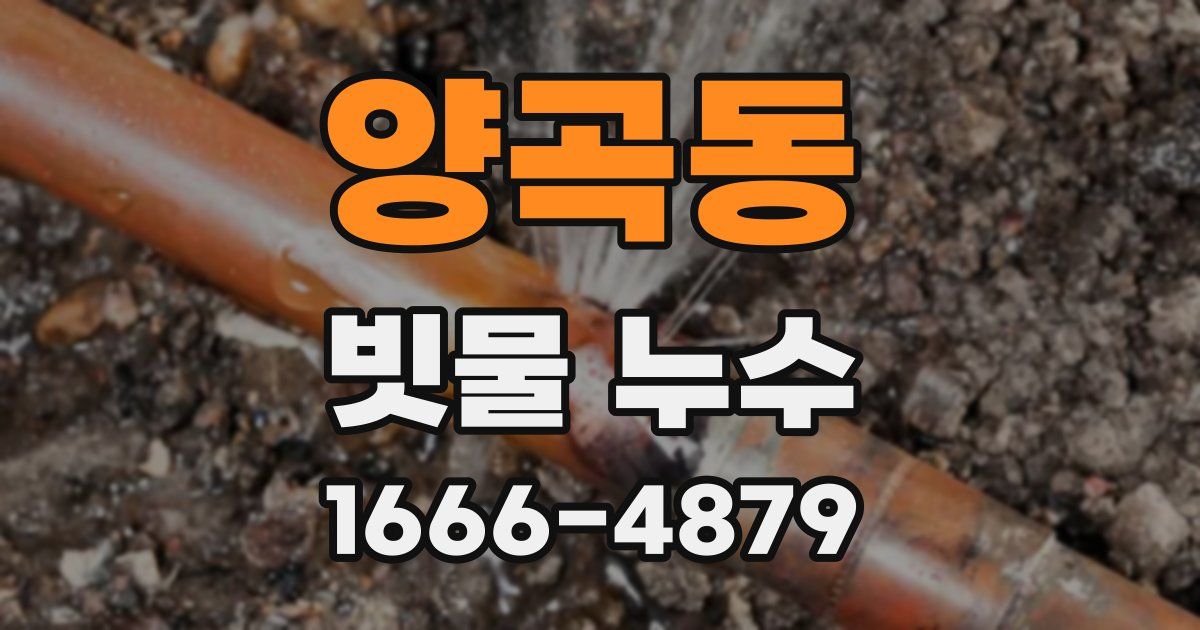 양곡동 빗물 누수