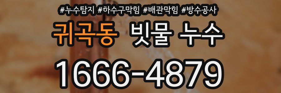 귀곡동 빗물 누수