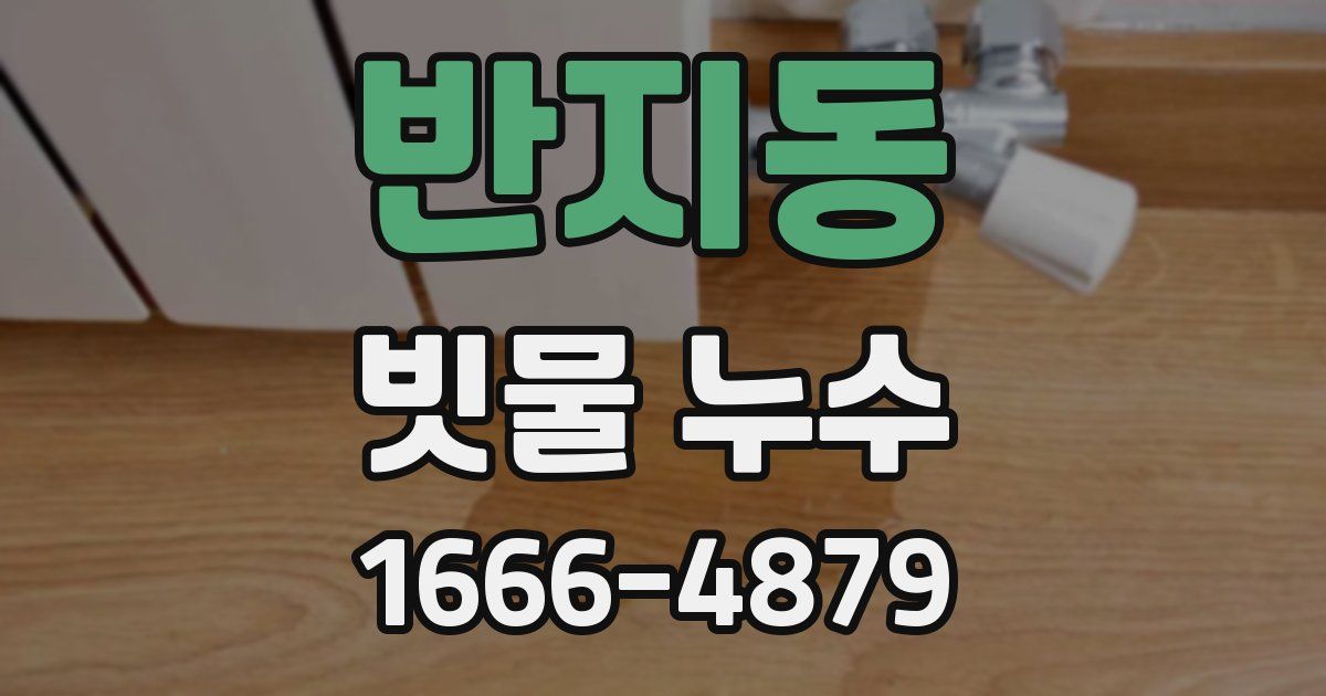 반지동 빗물 누수