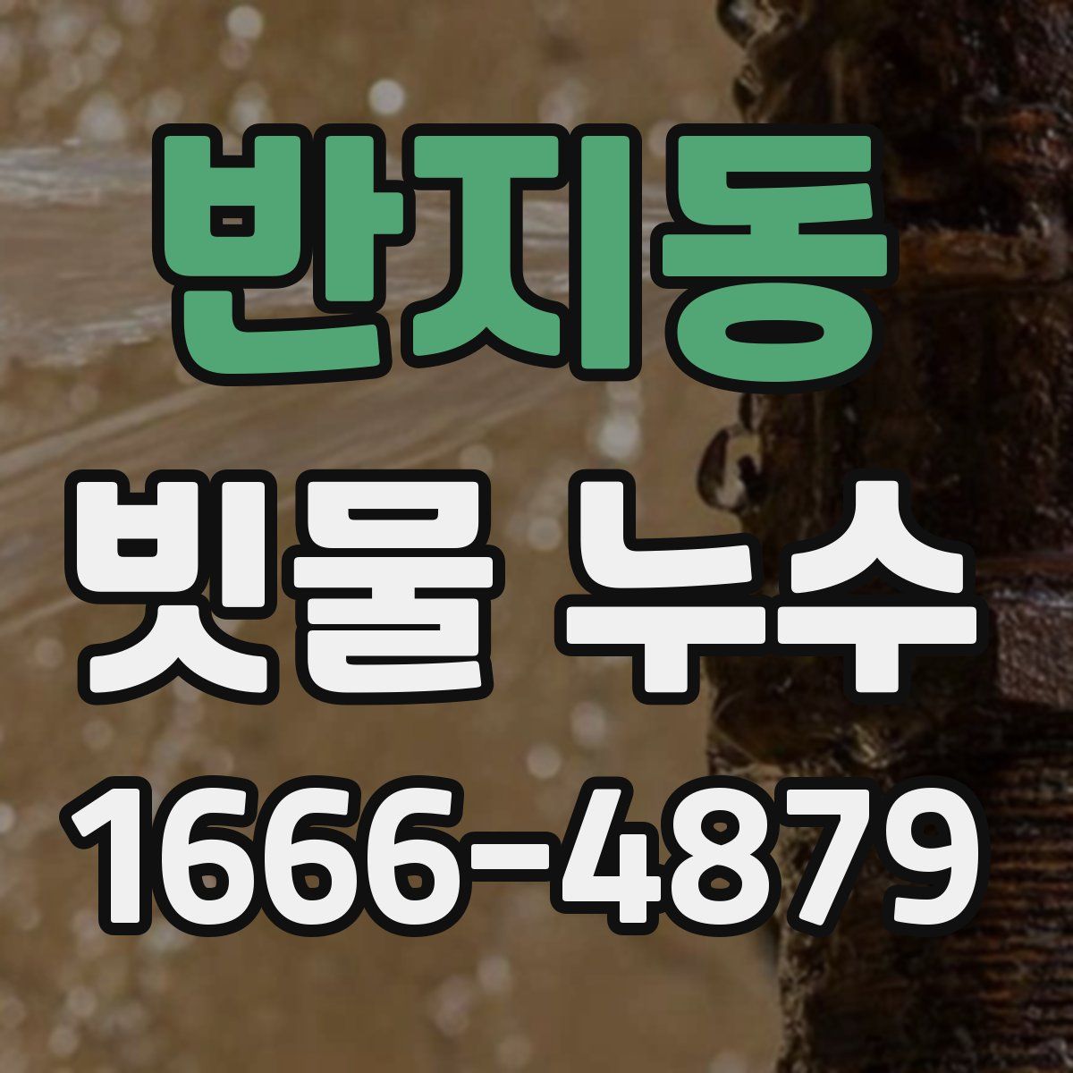 반지동 빗물 누수