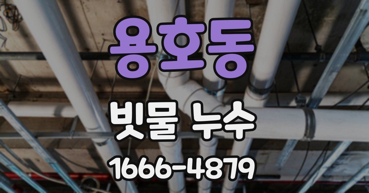 용호동 빗물 누수