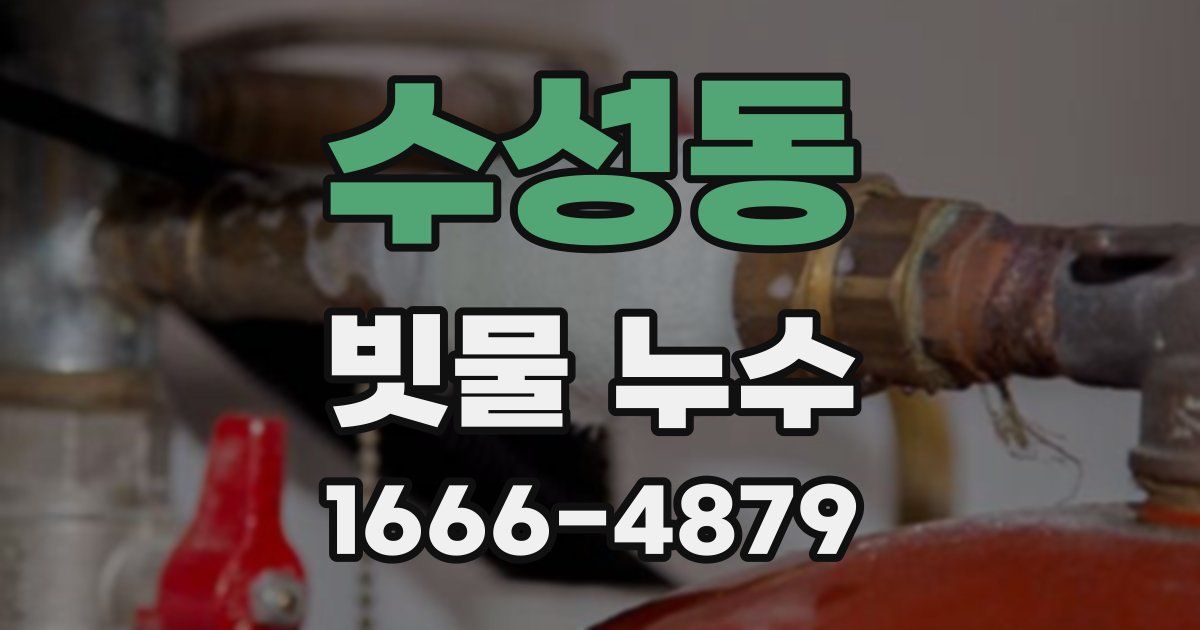 수성동 빗물 누수