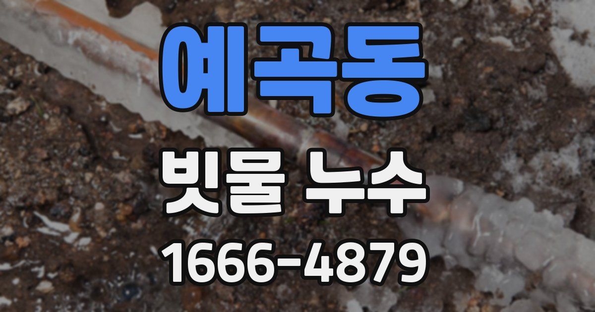 예곡동 빗물 누수