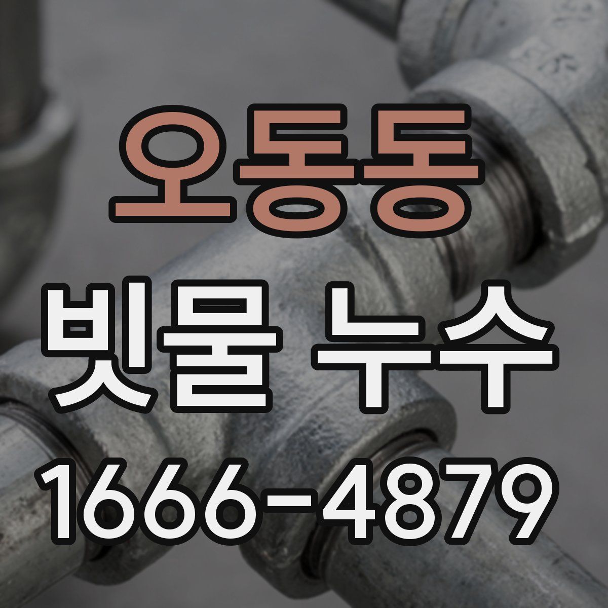 오동동 빗물 누수