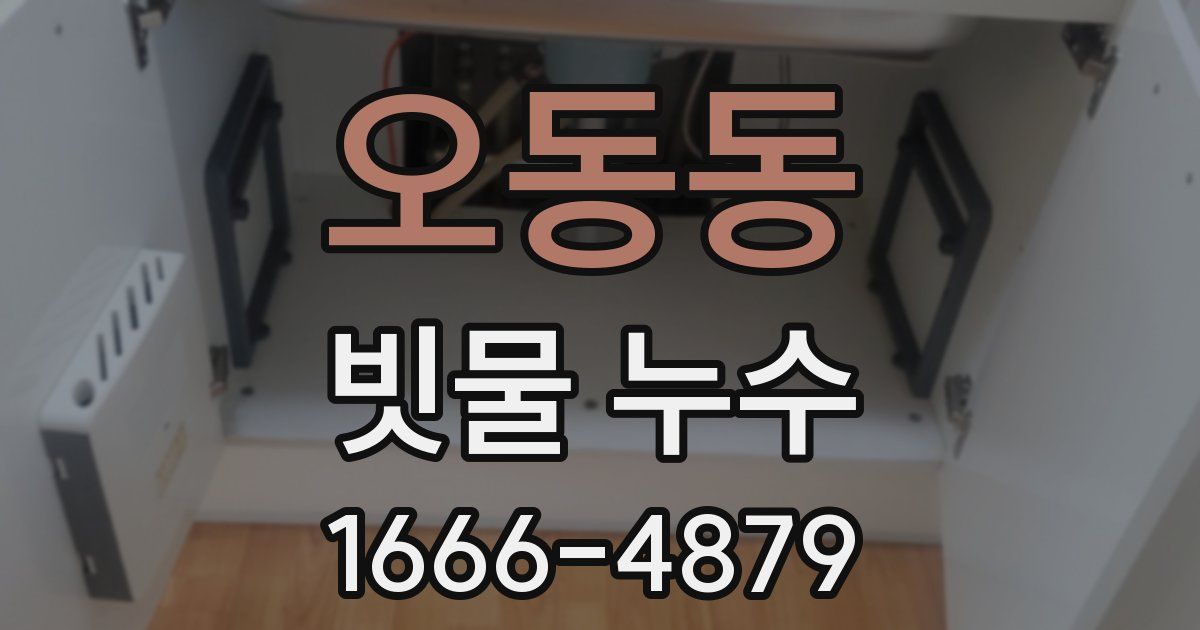 오동동 빗물 누수