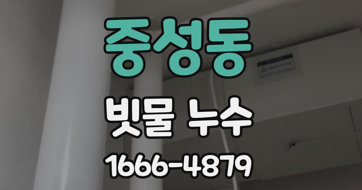 중성동 빗물 누수